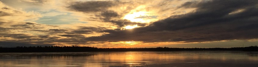 IMG_5443 (1).JPG
